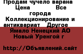Продам чучело варана. › Цена ­ 15 000 - Все города Коллекционирование и антиквариат » Другое   . Ямало-Ненецкий АО,Новый Уренгой г.